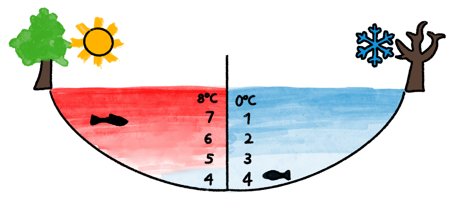 01-WasserKlima_Temperatur_See_Winter_und_Sommer